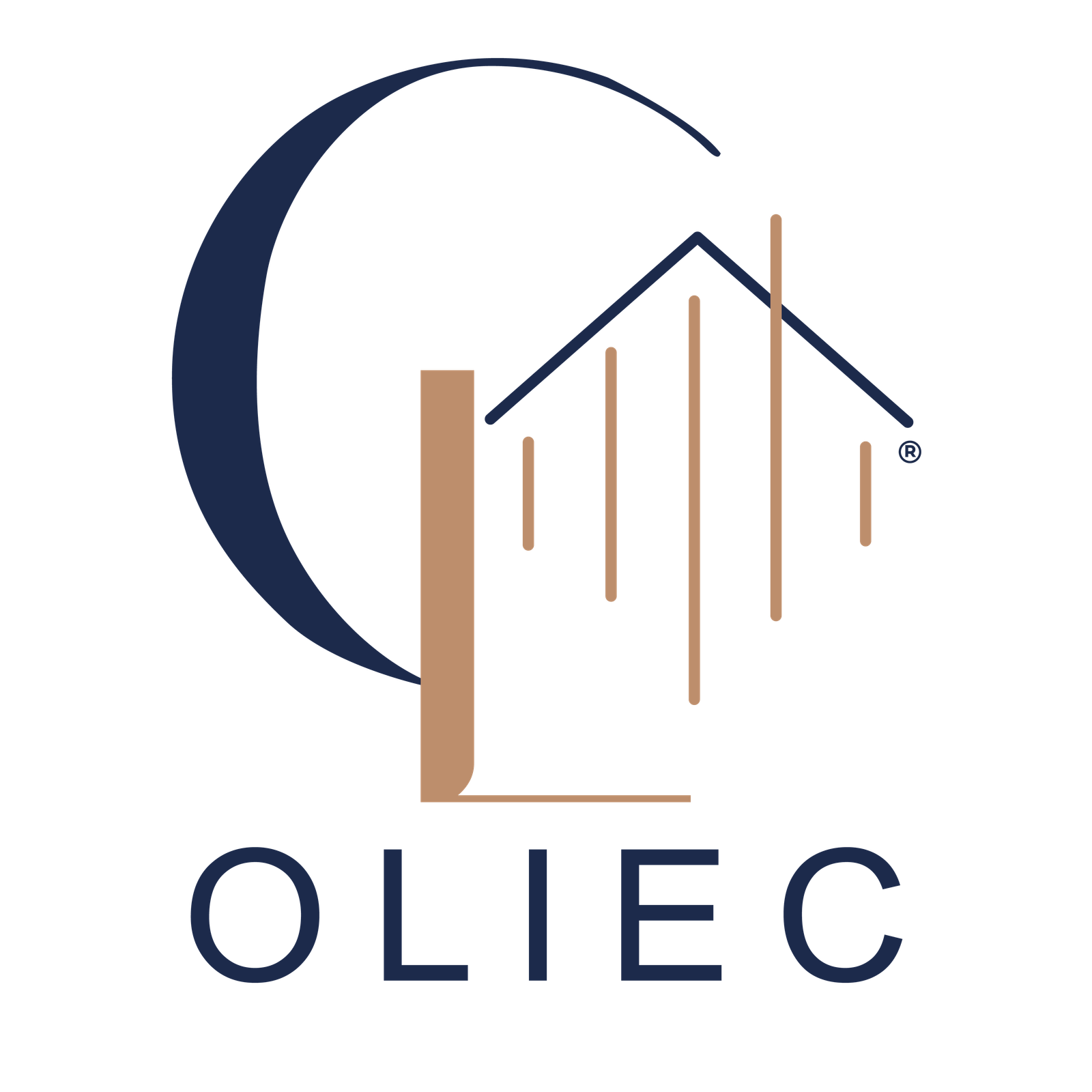 DISEŃO Y CONSTRUCCIÓN