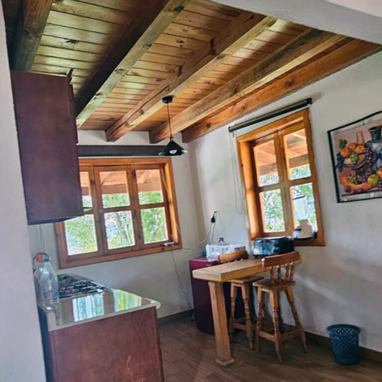 GALERIA OLIEC SITIO WEB-04