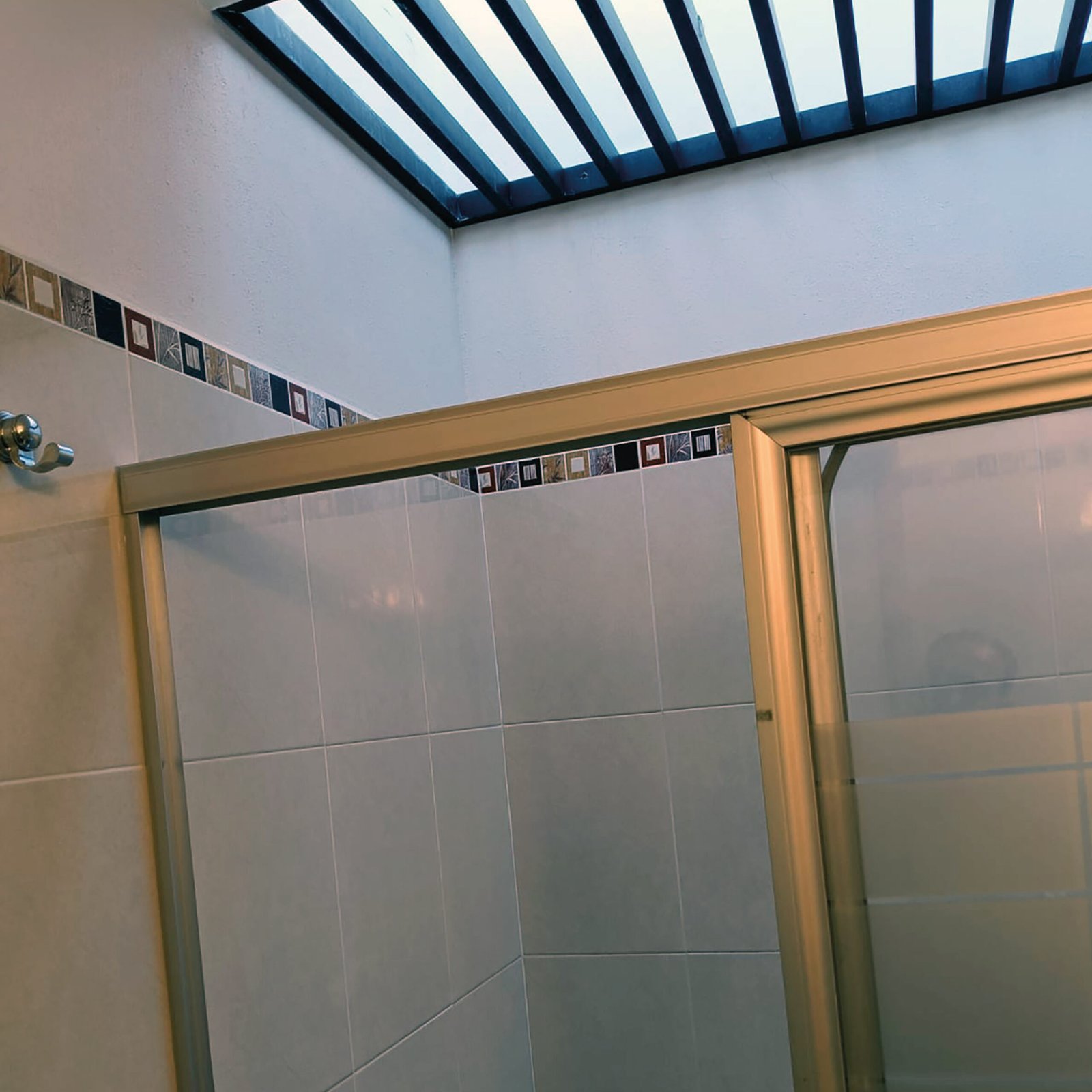 OLIEC GALERIA SITIO WEB 2-16