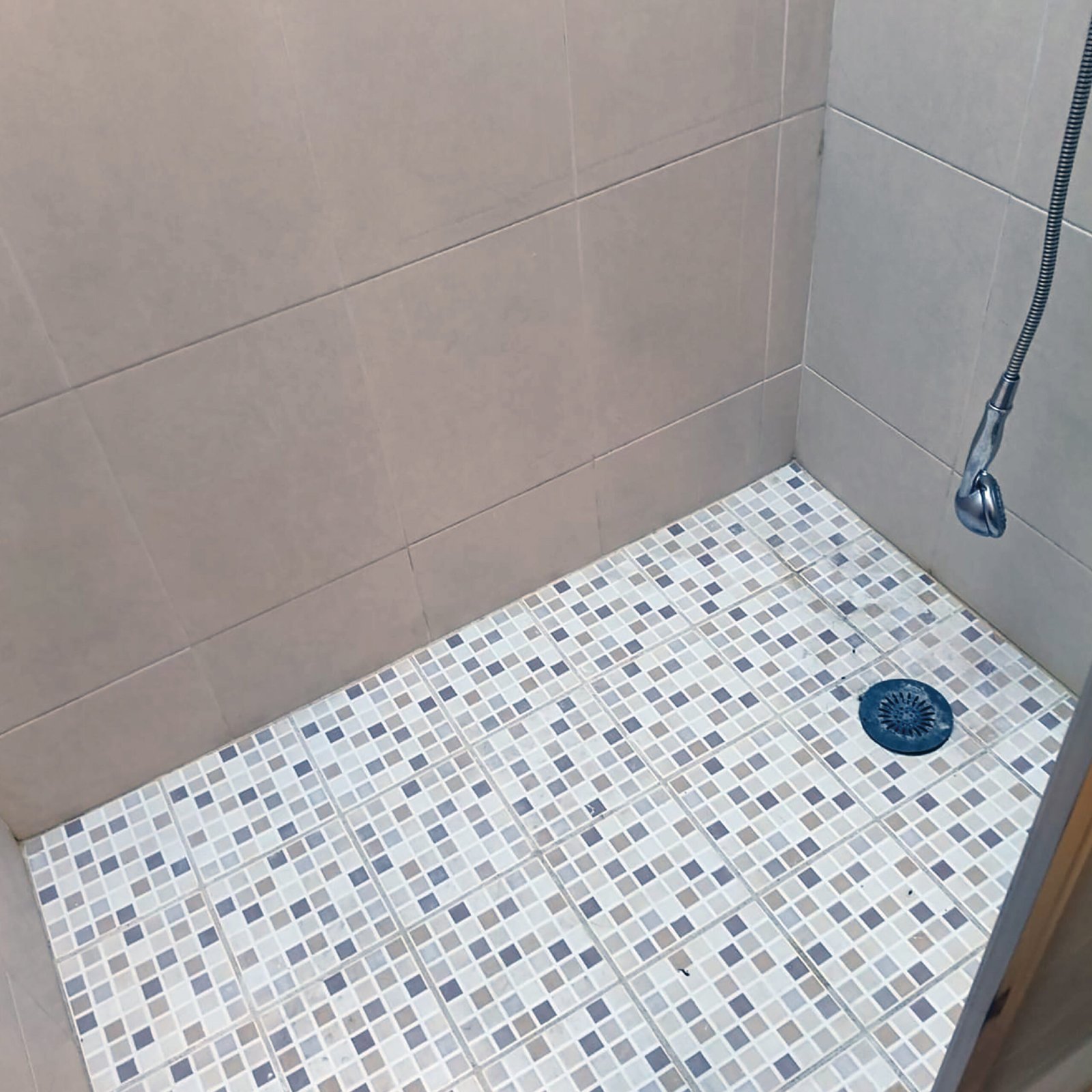 OLIEC GALERIA SITIO WEB 2-23