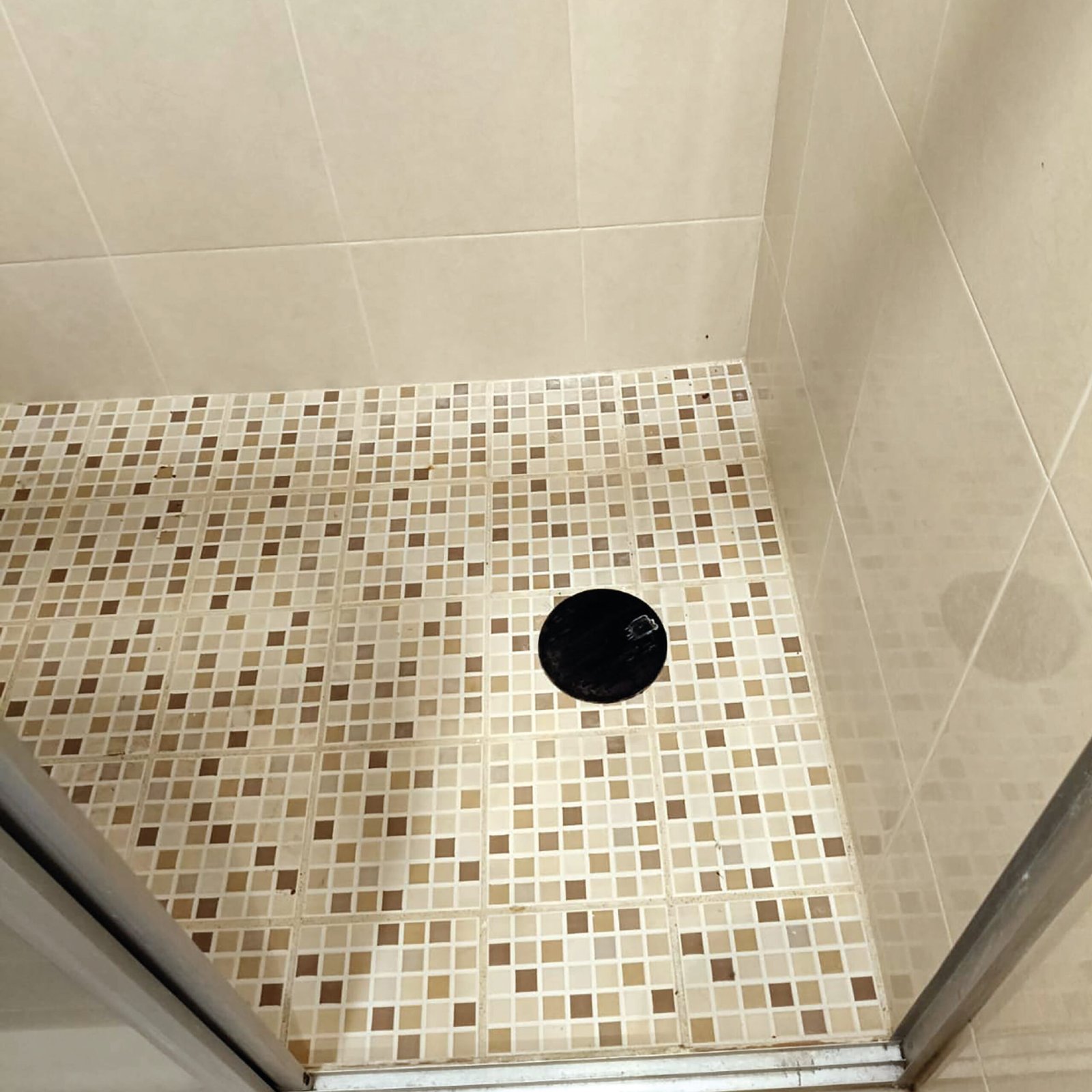 OLIEC GALERIA SITIO WEB 2-24