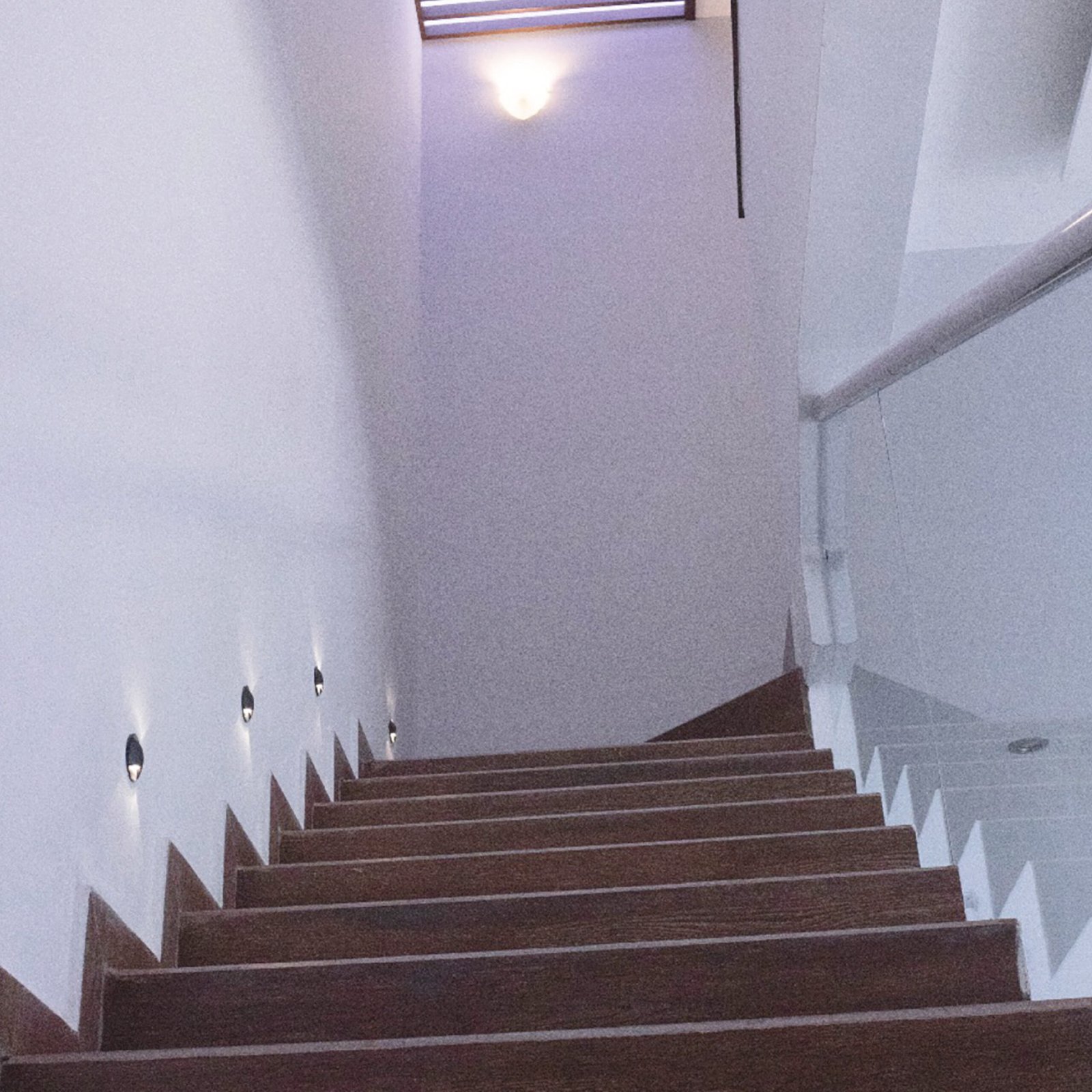 OLIEC GALERIA SITIO WEB 3-07