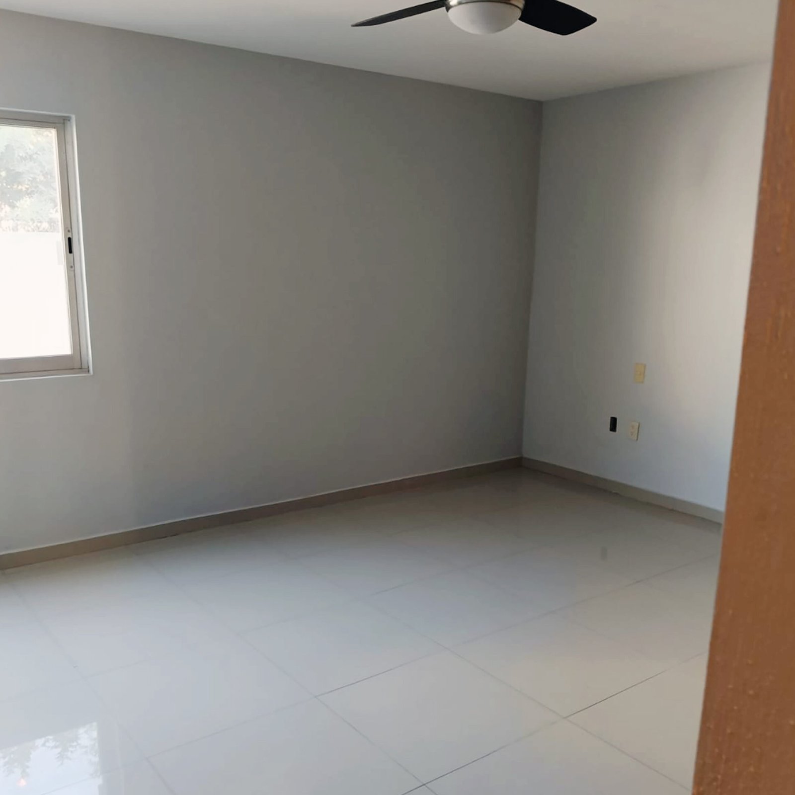 OLIEC GALERIA SITIO WEB 3-08